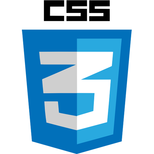 css3